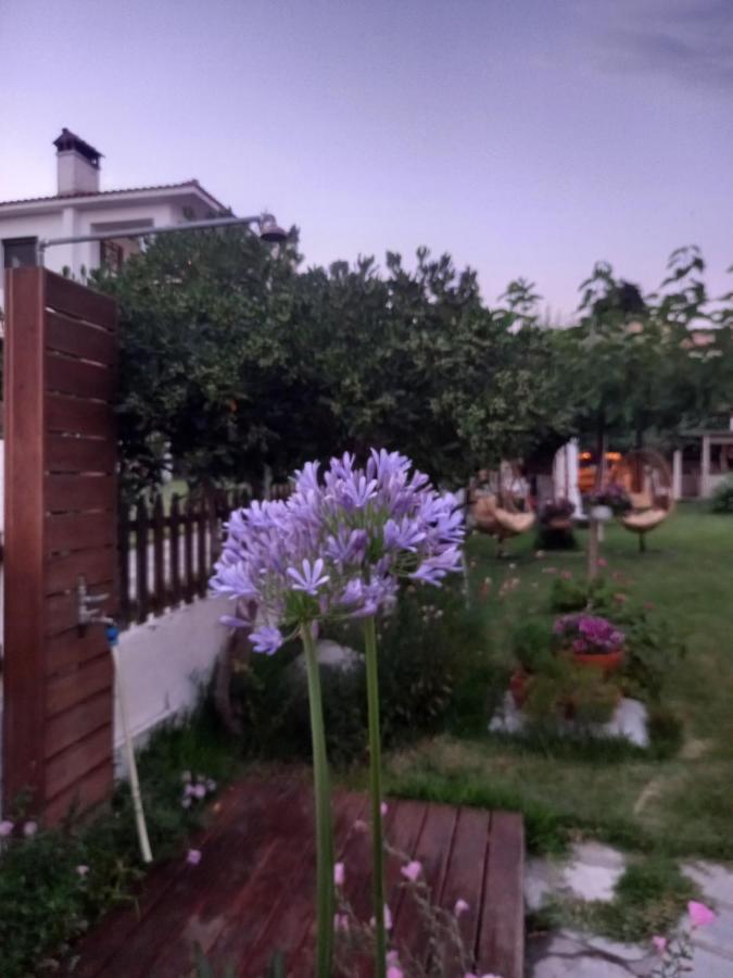 Traditional Arsanas Appartement Nikiti (Sithonia)