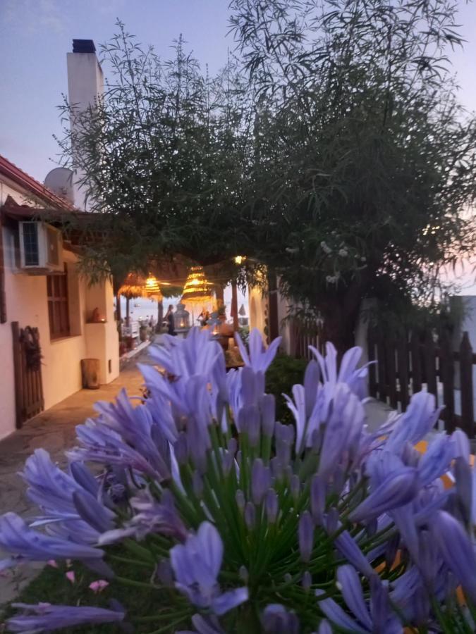 Traditional Arsanas Appartement