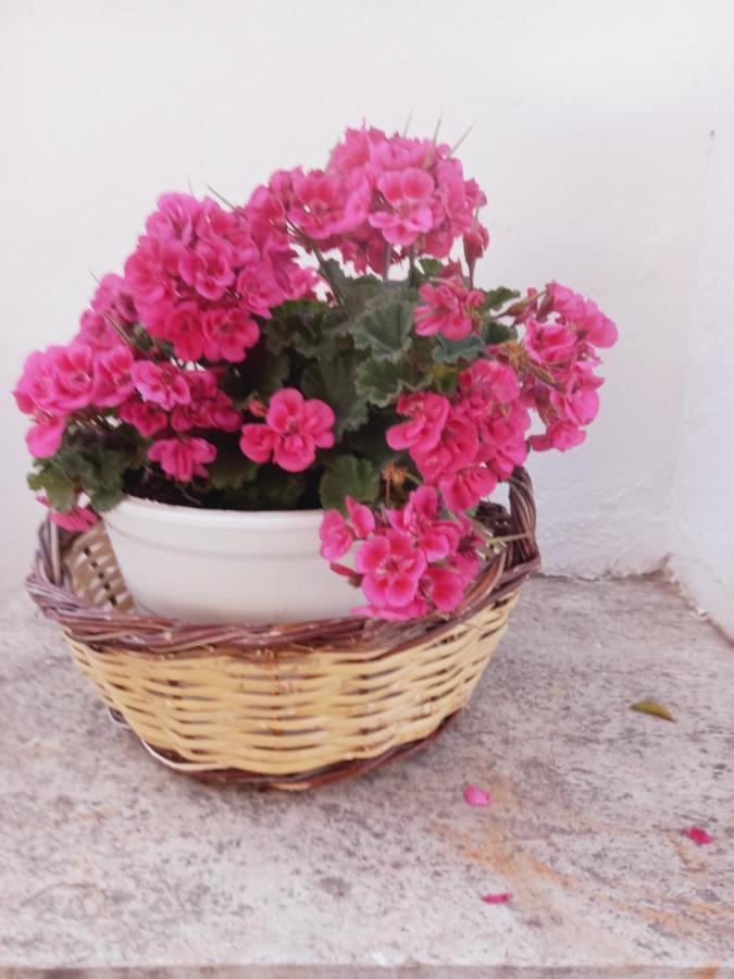 Appartement Traditional Arsanas